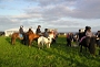 Horse riding at The Antlers - Family run bed and breakfast, Caithness, North of Scotland, UK